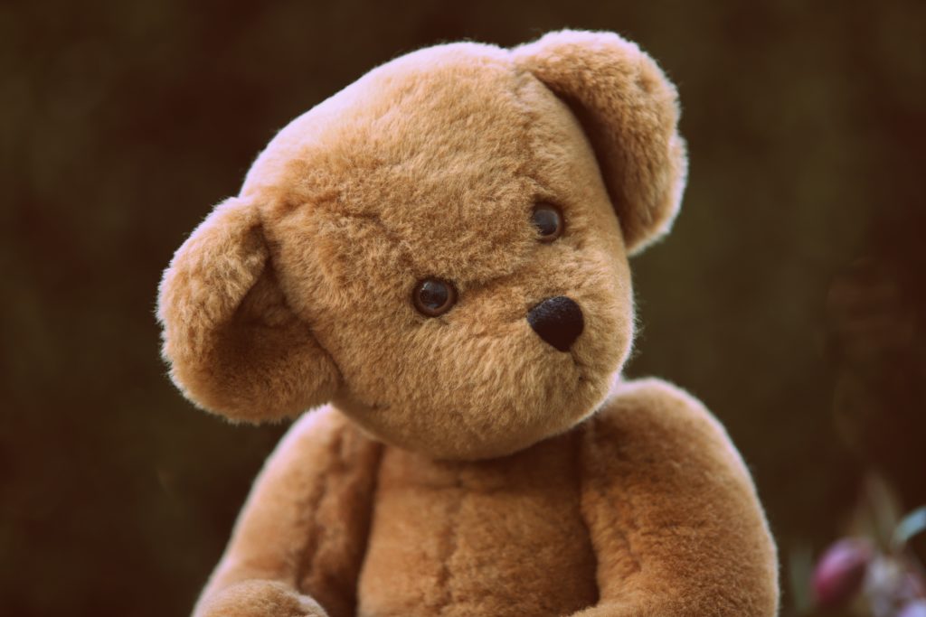 Teddy Bear looking cute